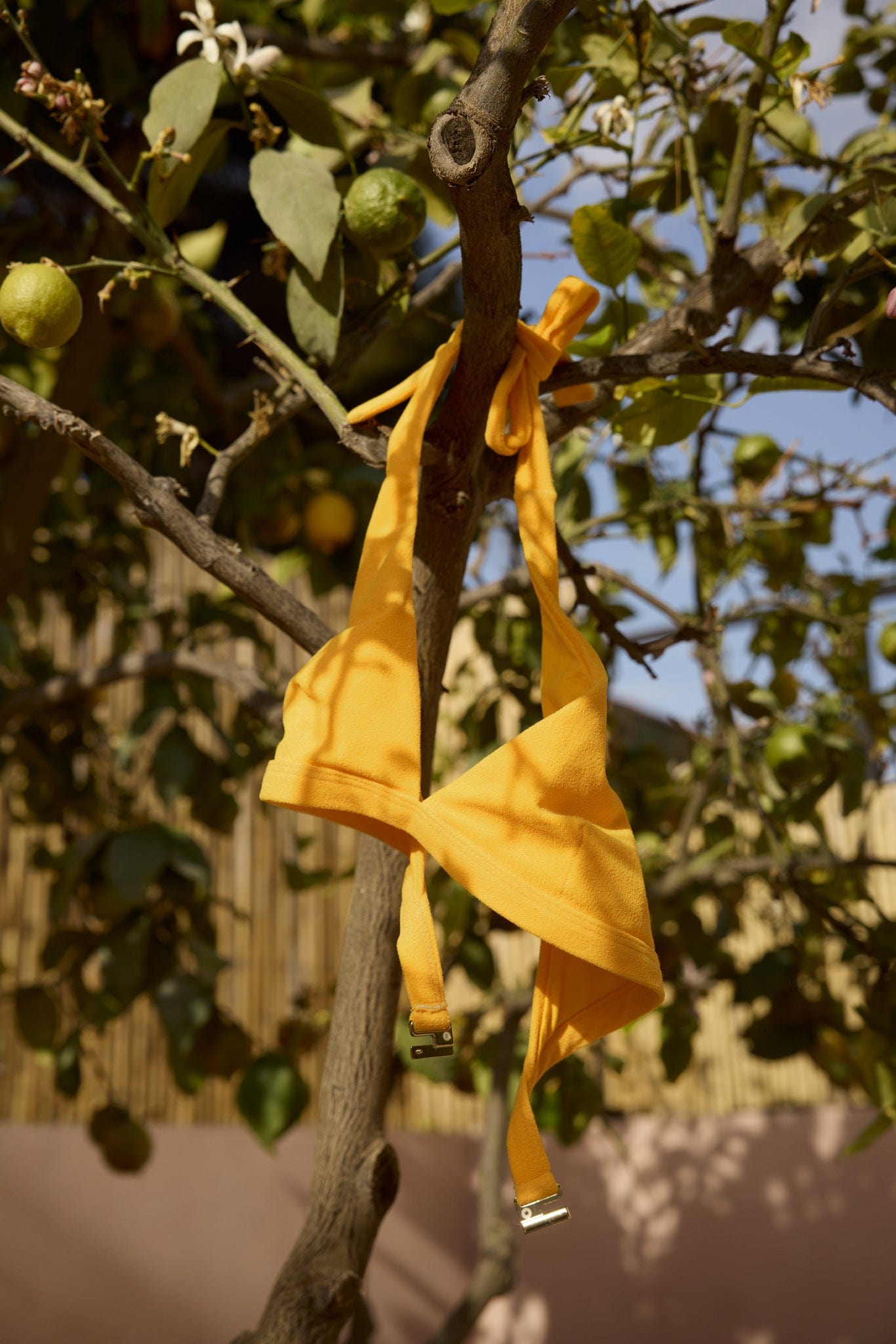 vendelawear.no Hydra bikini overdel - Solsikkegul